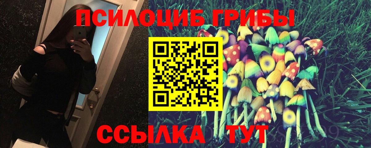 Галлюциногенные грибы Psilocybine cubensis Донской